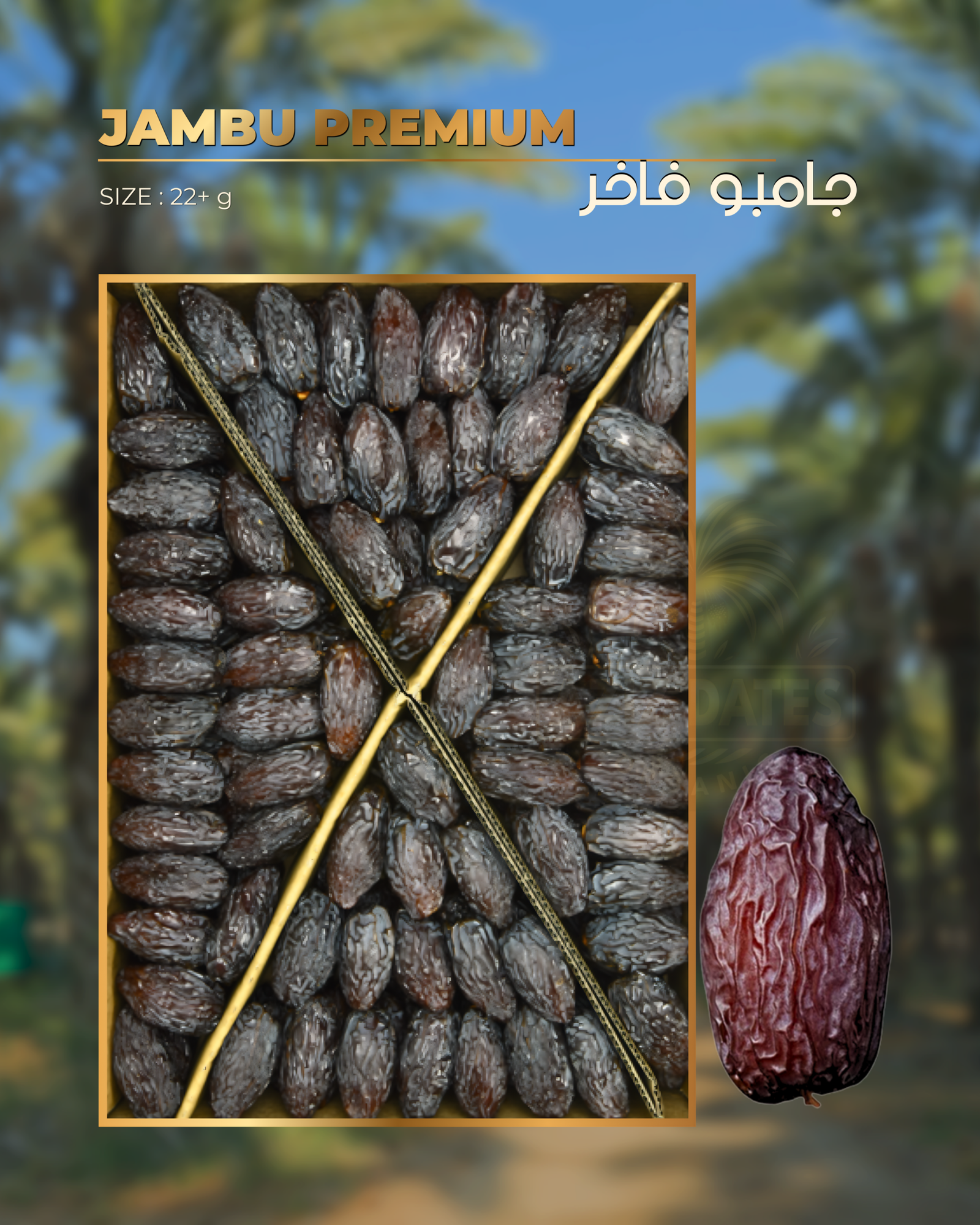 Jambu Premium