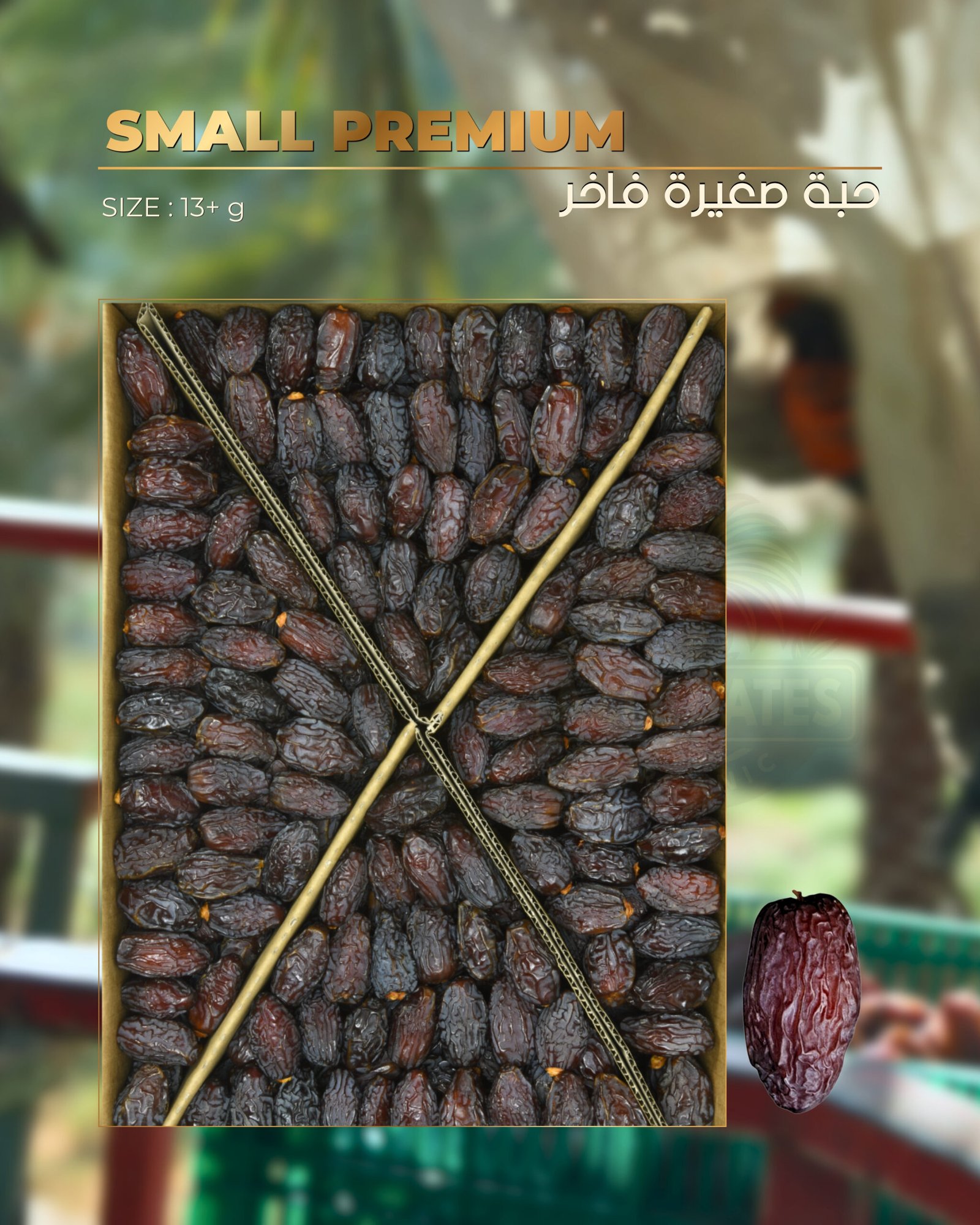 Small Premium