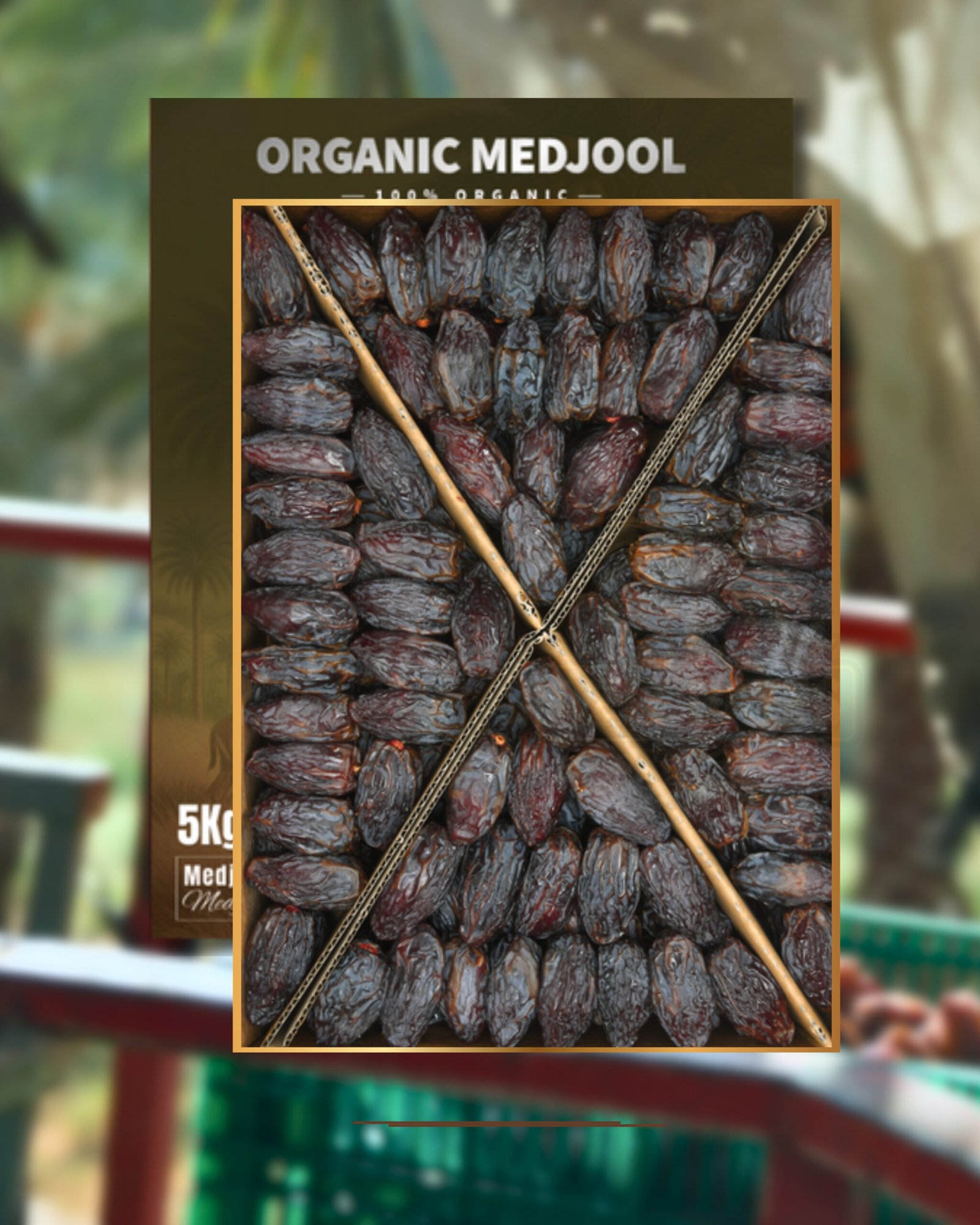 Medjool Jambu